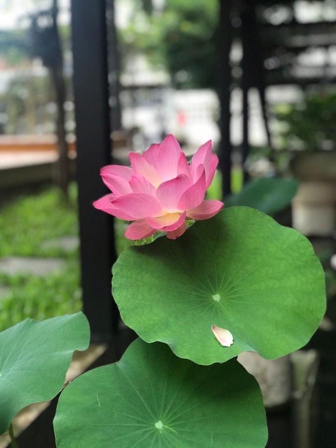 The Wishes Hotel At Chiangmai Chiang Mai Buitenkant foto